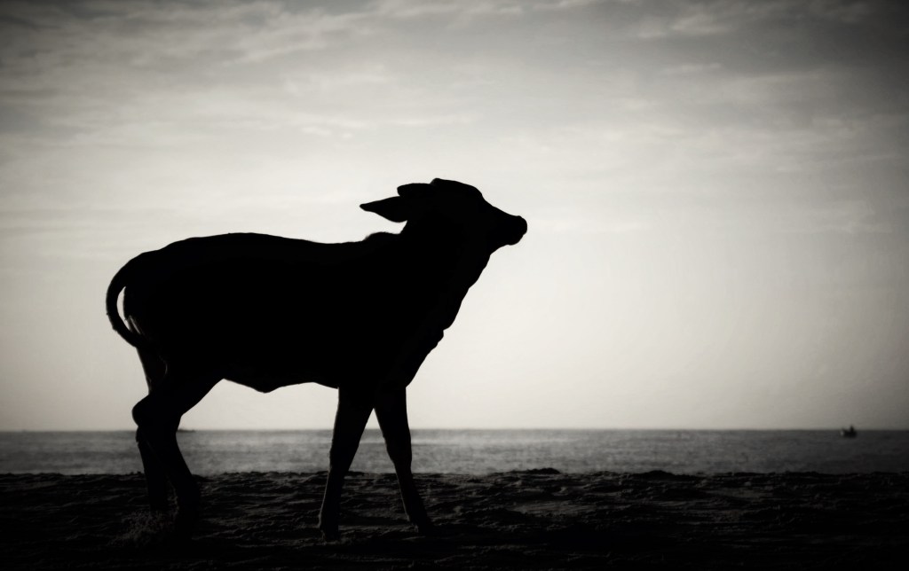 Sehnsucht nach Meer by Tana Hell