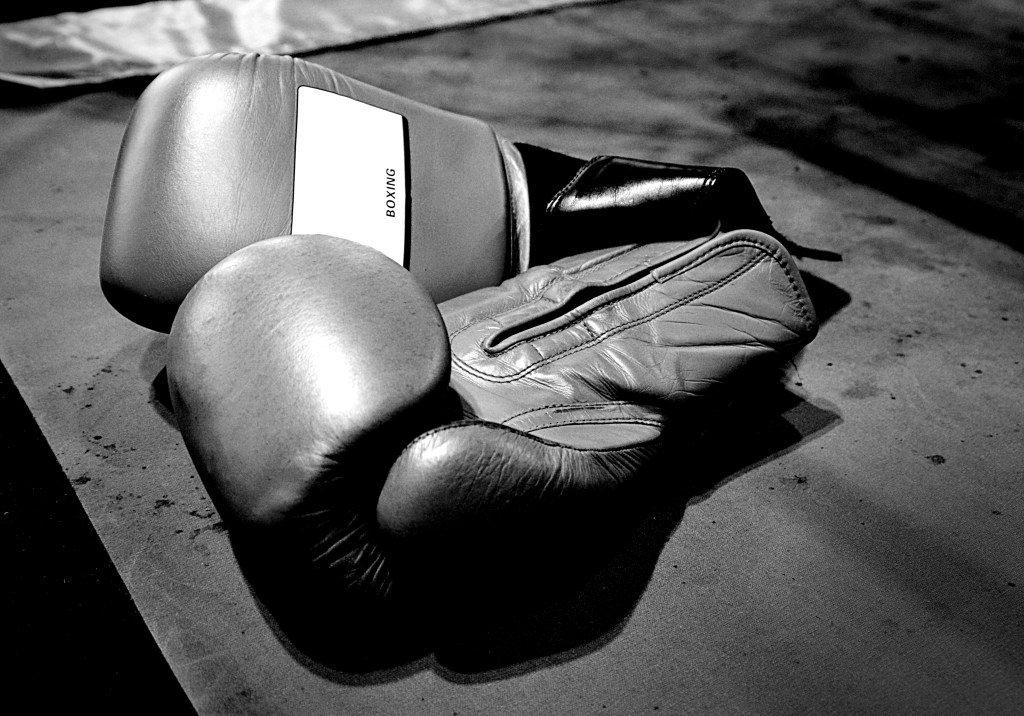 Boxhandschuhe