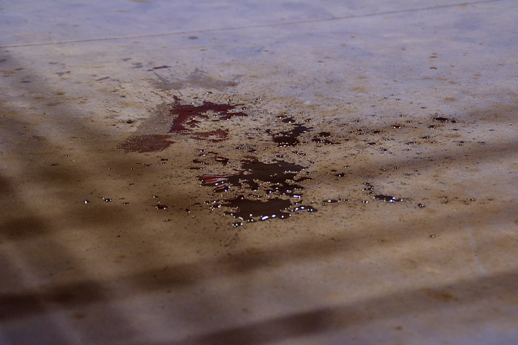 Boxkampf bis aufs Blut